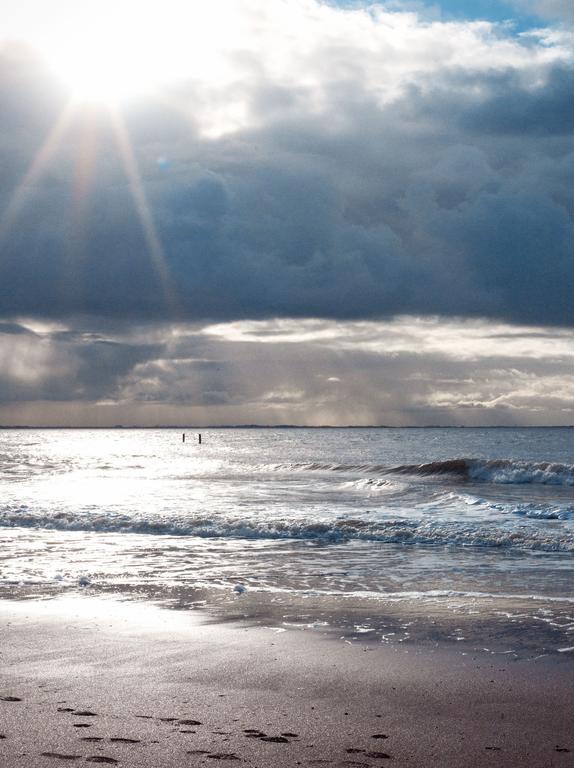 הוילה דיסהוק Hof Aan Zee מראה חיצוני תמונה